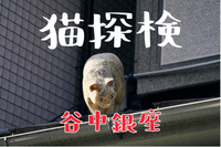 【女性主催】猫探検！谷中銀座で猫にちなんだモノ・場所巡り