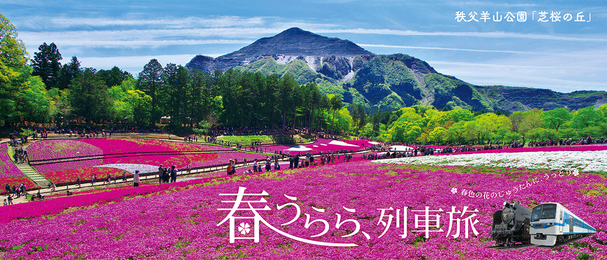 【主催者2名です🌸現在満開の秩父芝桜羊山公園🌸春の散策日帰り遠足🌸🚶