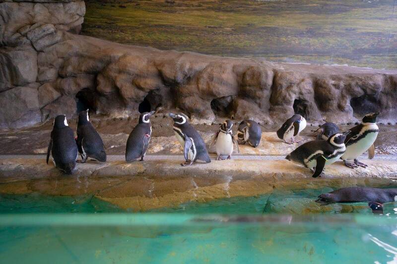 【早割中】穴場の水族館へ行こう🌈🌈