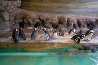 【早割中】穴場の水族館へ行こう🌈🌈