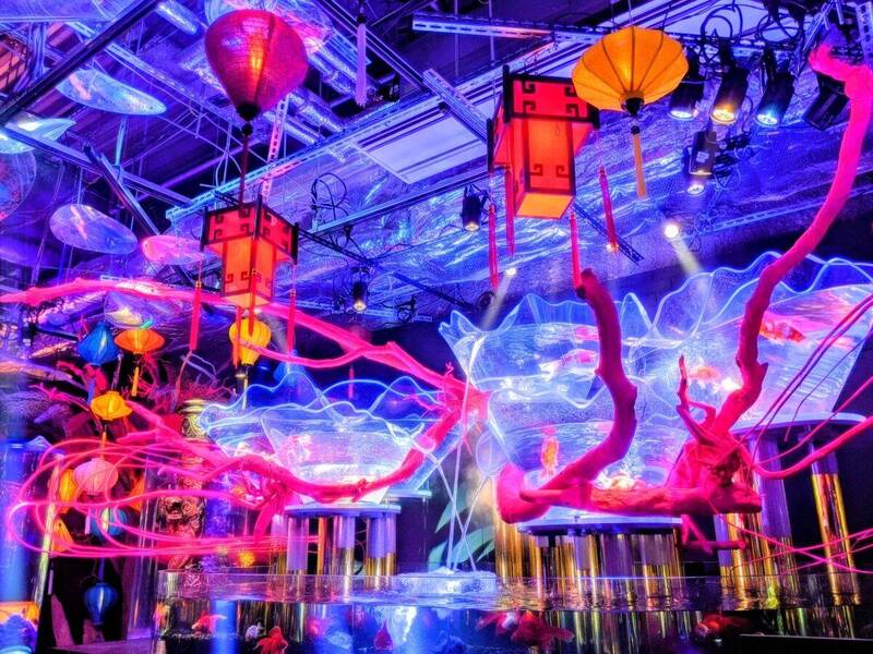【早割中】穴場のアートアクアリウム水族館に行こう🦊🦊