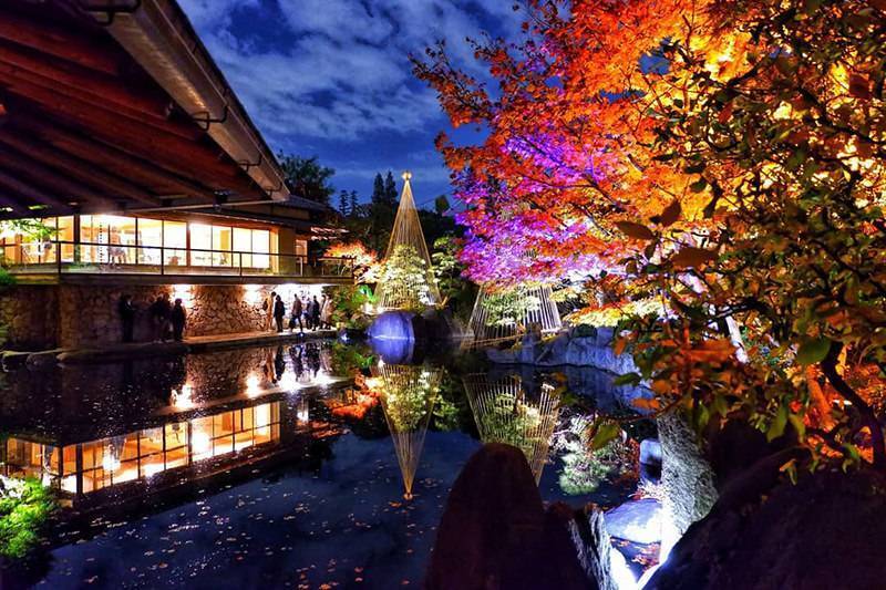 【20代30代限定】紅葉ライトアップに行こう🌸🌸