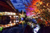 【20代30代限定】紅葉ライトアップに行こう🌸🌸