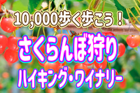 6/14  ◎さくらんぼ狩りをしながら１万歩歩こう！◎山梨で高台からの絶景を楽しもう～
