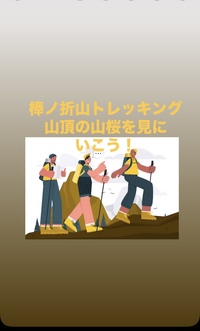【棒ノ折山トレッキング】山頂の桜を楽しむ春の冒険🌸✨