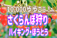 6/1 ◎さくらんぼ狩りをしながら1万歩歩こう！◎山梨で高台からの絶景を楽しもう～