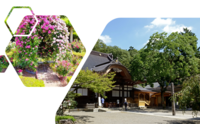 【深大寺・神代植物公園・JAXA】歴史と未来を感じる深大寺周辺と近隣施設を巡ります♪