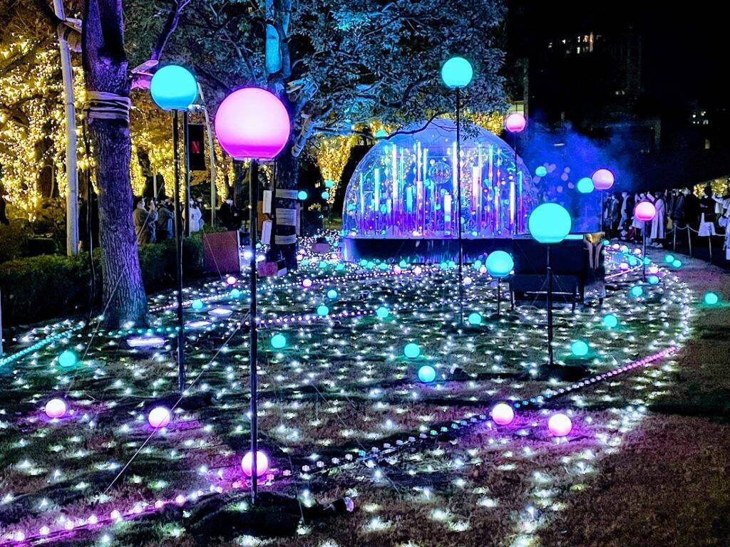 【20代30代限定】ミッドタウンイルミネーションを見に行こう🐽🐽