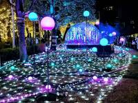 【20代30代限定】ミッドタウンイルミネーションを見に行こう🐽🐽