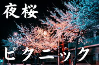 【夜桜ピクニック＆モルック】皆で夜桜ピクニックを楽しもう♪お酒もあるよ♪お一人参加多数！＠代々木公園【第934回】