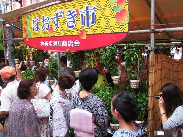 【20代30代限定】神楽坂祭に行こう！屋台もあります🐣🐣🐣
