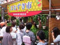 【20代30代限定】神楽坂祭に行こう！屋台もあります🐣🐣🐣