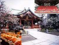 男女比調整で女性のみ募集中【沢山の雛人形を見に行こう！】3/2 14時！　南千住　素戔嗚神社！