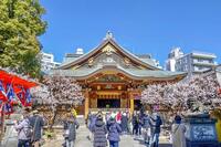 【参加費無料】春の訪れ🌸 湯島天満宮の梅祭り