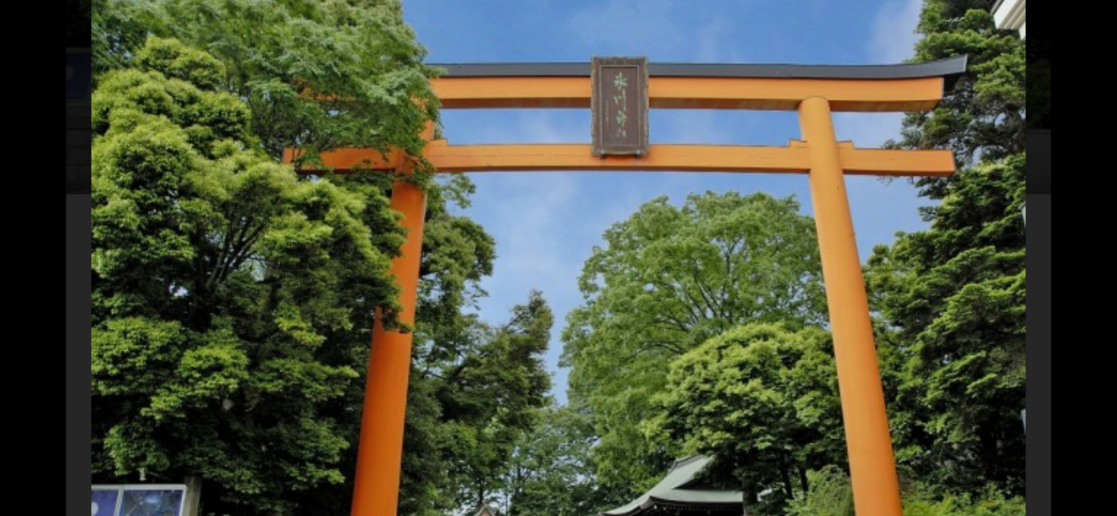 🌸春の川越氷川神社⛩️散策🌸有名なおみくじ🎣鯛みくじが出来ます😊