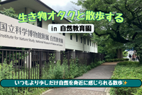 【初参加歓迎👌】生き物オタクと散歩する自然教育園🌳🦆🌸