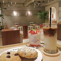 【女性主催】新大久保のクッキー専門店に行こう🐈😽😺