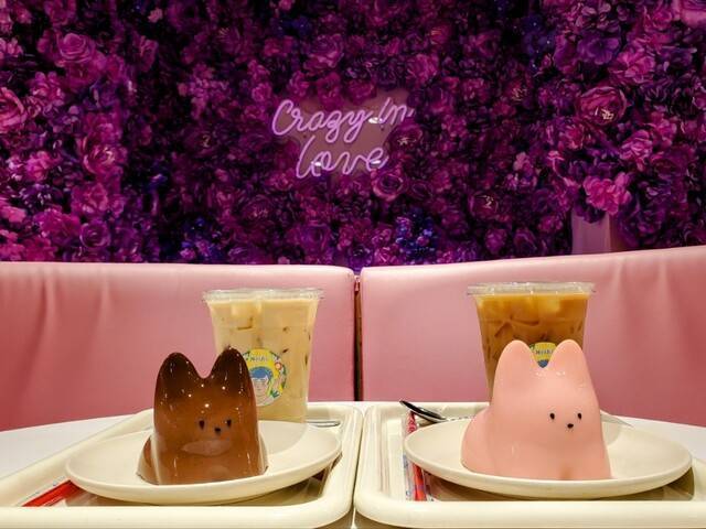 【女性主催】新大久保の可愛いカフェに行こう！おすすめは猫プリン🎀🌹🍎