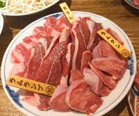 【30代・40代限定】3/2 飲み放題0円！ジンギスカン会ｉｎ 錦糸町