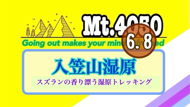 《6/8》湿原に咲くスズランや春の草花に包まれる南アルプス眺望トレッキング🚗