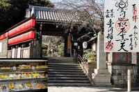 【朝活！　赤坂の神社で金運up！】3/8 10時！　赤坂の豊川稲荷東京別院！【早割り参加費無料！】