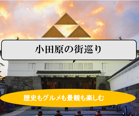 【気分は小旅行♪】戦国・江戸を体感！？小田原の街巡り（説明・解説有り）