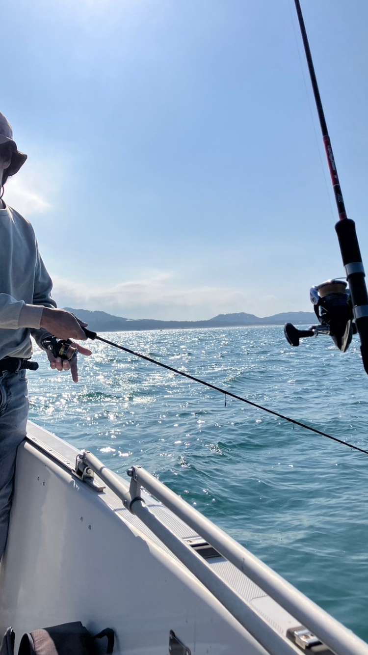 海釣り ティップラン 船釣り 玄海 釣りメンバー募集