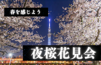 【募集終了】【途中参加OK！】春を感じよう〜夜桜花見会〜🌸