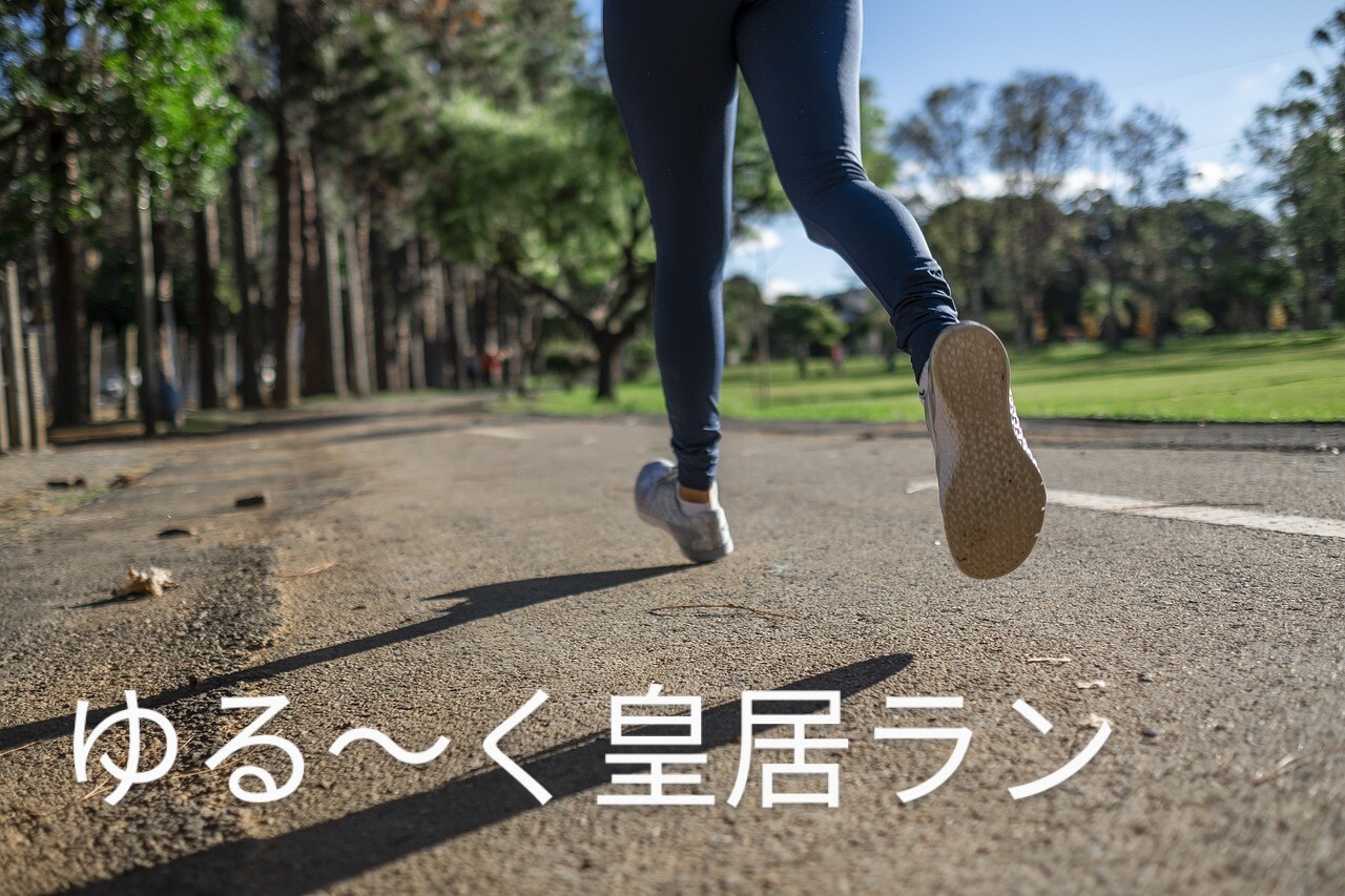 【皇居ラン】ゆる～くジョギングしましょ♪