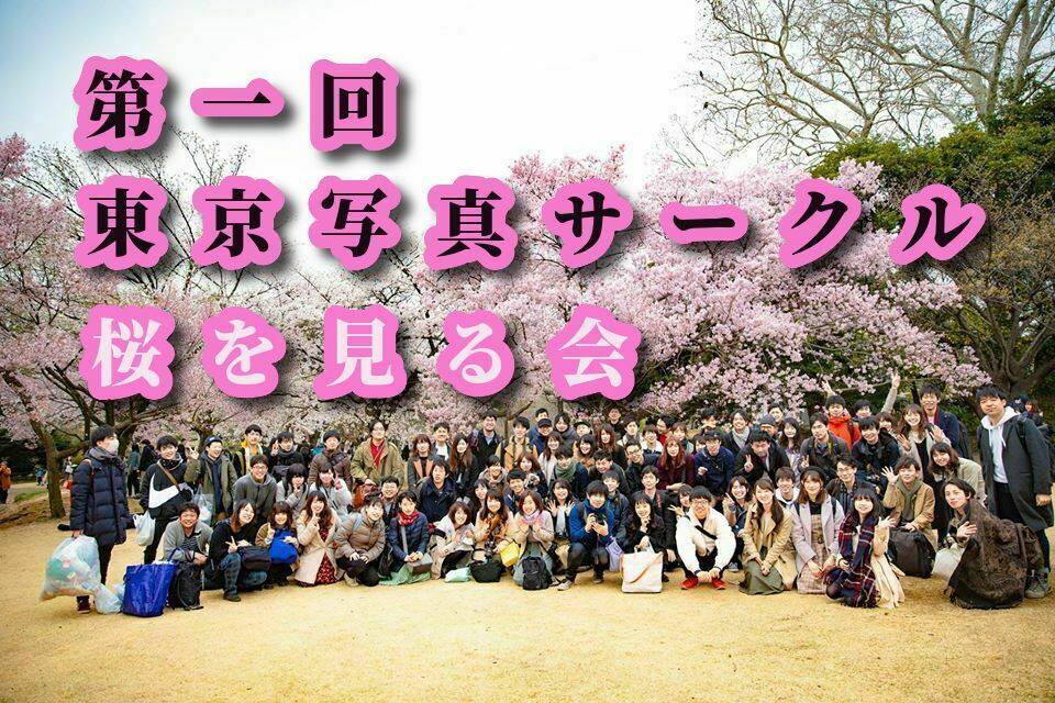 東京写真サークルお花見撮影会～桜を愛でる～