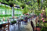 緑と花に囲まれたカフェでリフレッシュ！20代のための癒しのひととき🌱✨