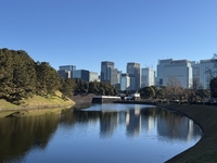 【ガチお断り・初心者大歓迎！皇居ラン】歴史と自然を感じるランニングイベント🏃‍♂️🌳