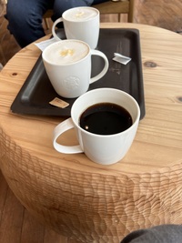 【オンライン英会話】アルバニア人の英語教師とゆるく英会話（聞いてるだけでも可）