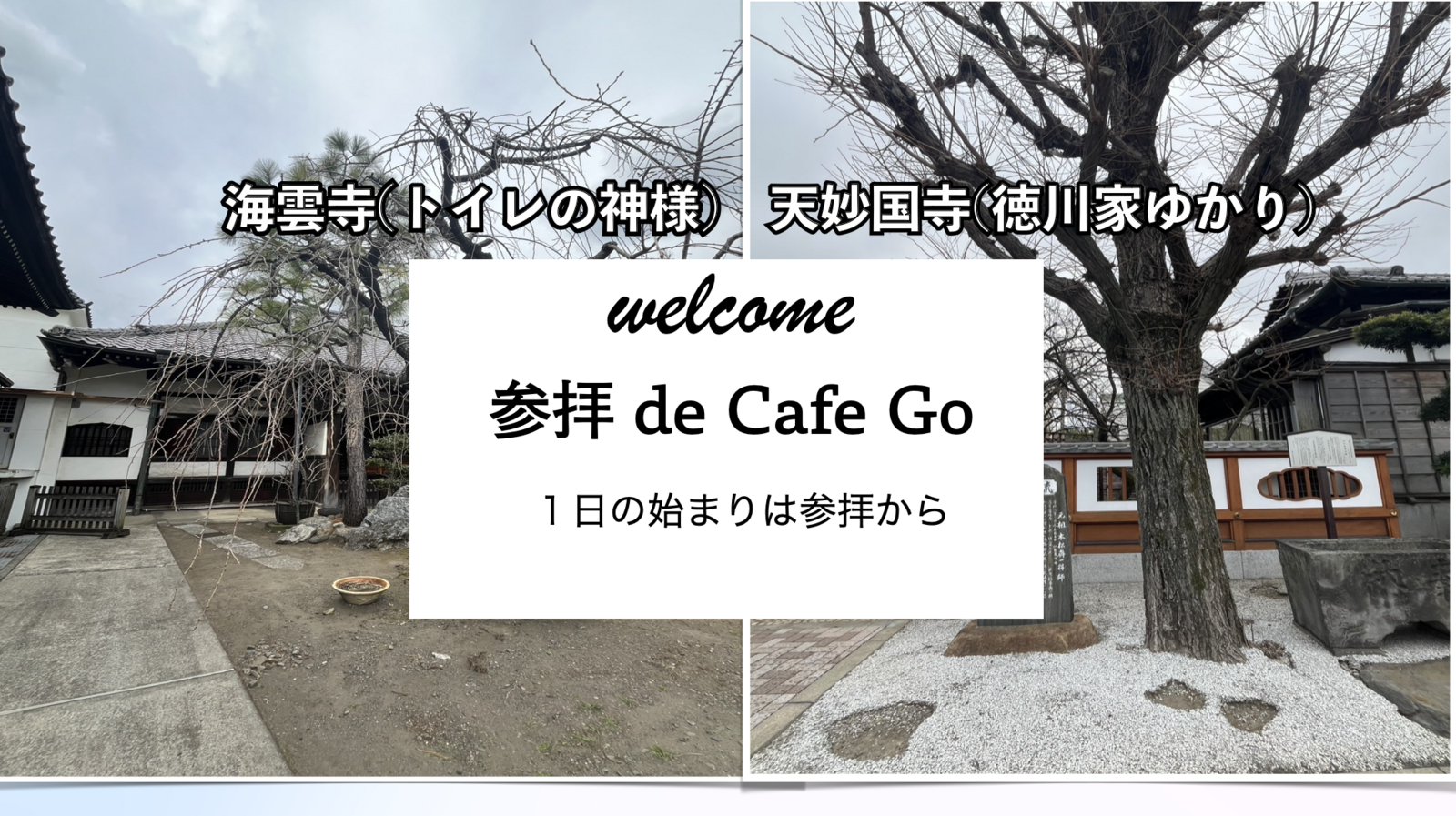 参拝 de Cafe. Go 海雲寺&天妙国寺