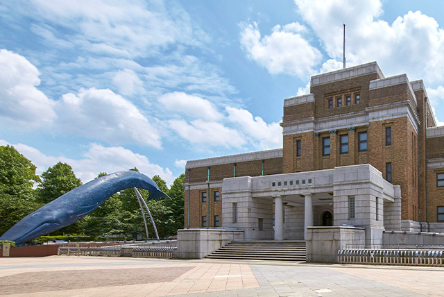 国立科学博物館の古代DNA展に行ってみよう🧬