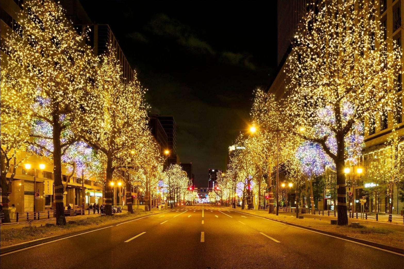 【20代30代限定】表参道のイルミネーションを見に行こう🐽🐽