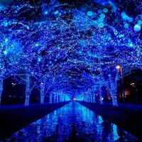 【女性主催】大人気のイルミネーション！？青の洞窟に行こう！20代30代限定🌹🍎🍒