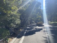 【日比谷公園】朝さんぽ と カフェトーク🚶🏻