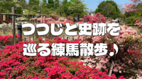 練馬の展望、練馬のつつじ、練馬城址公園、近代建築、神社仏閣などを巡ろう！