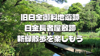 【無料の日】新緑を楽しむ！旧白金御料地遺跡、白金長者屋敷跡などもある国立科学博物館附属自然教育園にいこう！