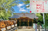 【渋谷の神社で限定桜の細工御朱印を手に入れよう！】3/15 14時　渋谷氷川神社！【参加費還元！】