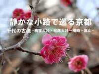 🌸春の京都散策🍀静かな小路で巡る京都🍀