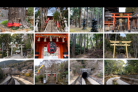 【京都観光 × 国際交流🌏】 山科疎水、プチハイキング、神社仏閣巡り✨