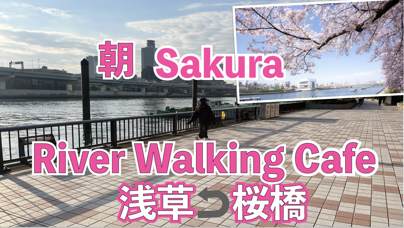 【浅草発】桜ウォーキングで春を満喫！桜橋での折り返しとカフェでのひととき🌸🚶‍♂️
