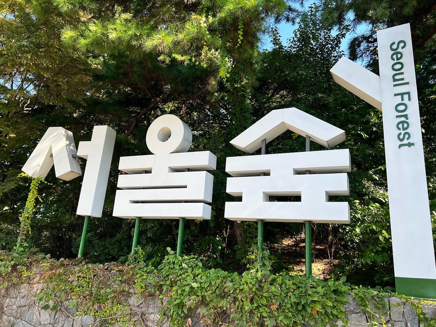 【女性限定】初心者大歓迎！ふんわり韓国語勉強会🇰🇷@自由が丘〜ハングル編〜