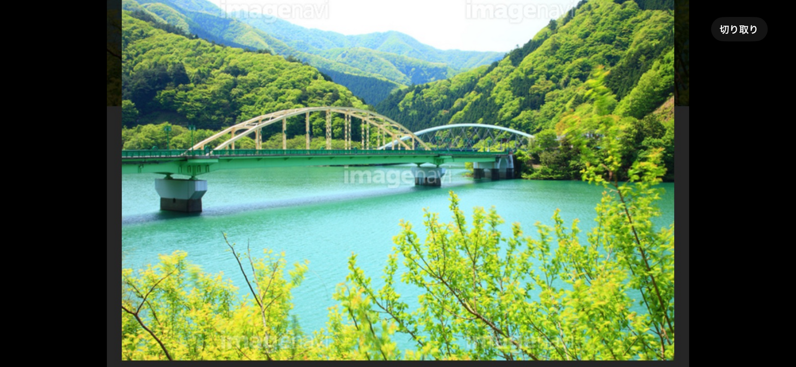 【奥多摩湖🌲ここは東京？と思わせてしまう大自然イベント