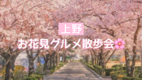 【女性主催🐣】🌸お花見グルメ散歩会🍡【上野】
