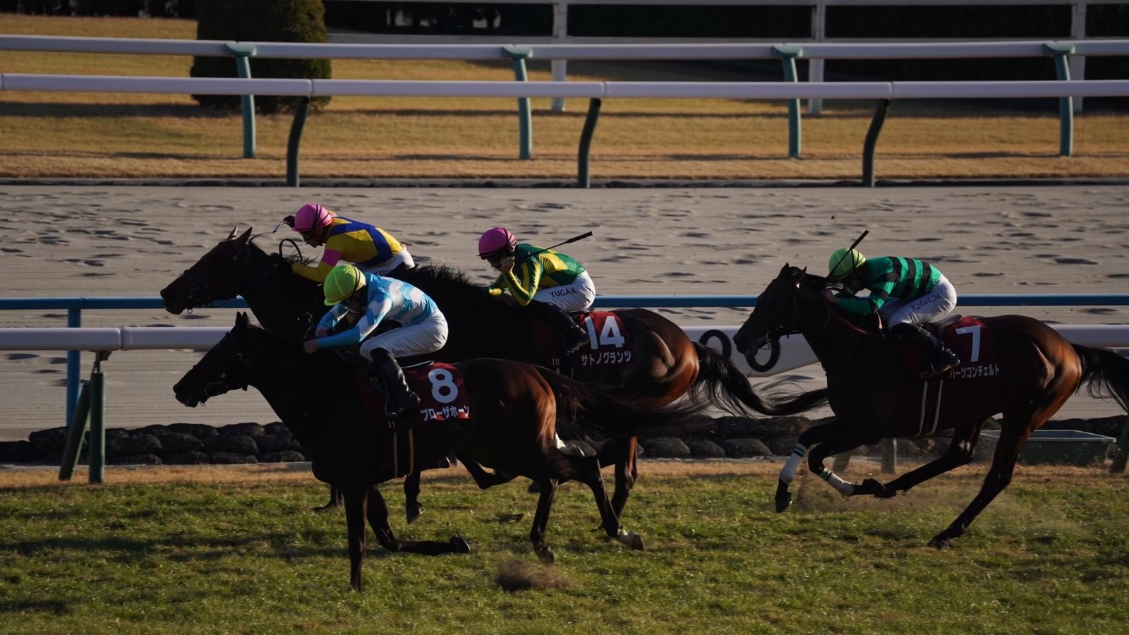 【初めて歓迎】競馬場に行ってみよう！【途中参加○】