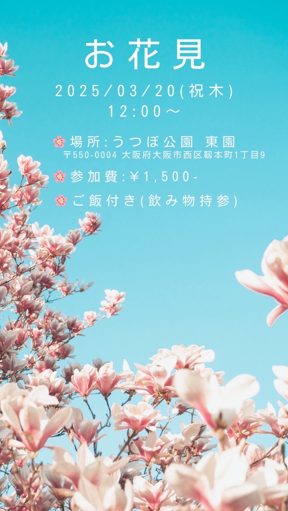 【春の桜祭り🌸】美しい桜の下で特別なひとときを楽しもう！