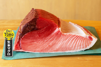 【女性2名主催/早割中】渋谷にあるマグロ専門店🌊🛳🌈に行こう〜🌱🌱おすすめは中落ちです✨✨20代30代限定